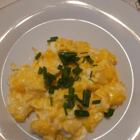 Taniespanie Rokietnica 홈스테이