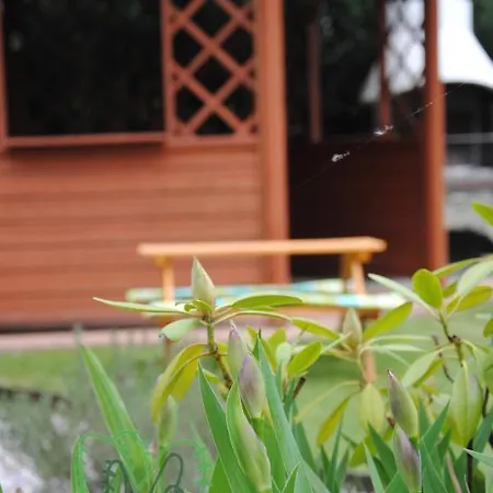 Taniespanie Rokietnica