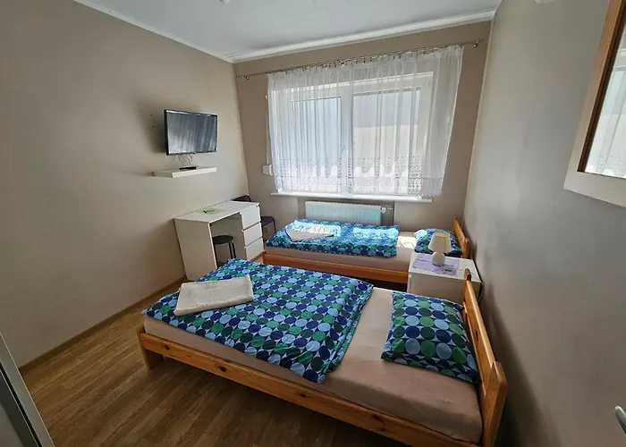 Taniespanie Rokietnica